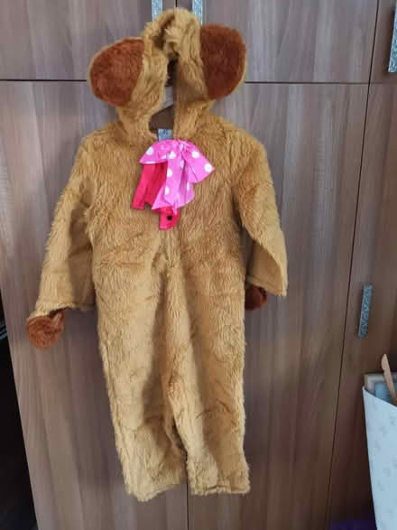 Photo of free Teddy bear dance costume (Perivale) #2