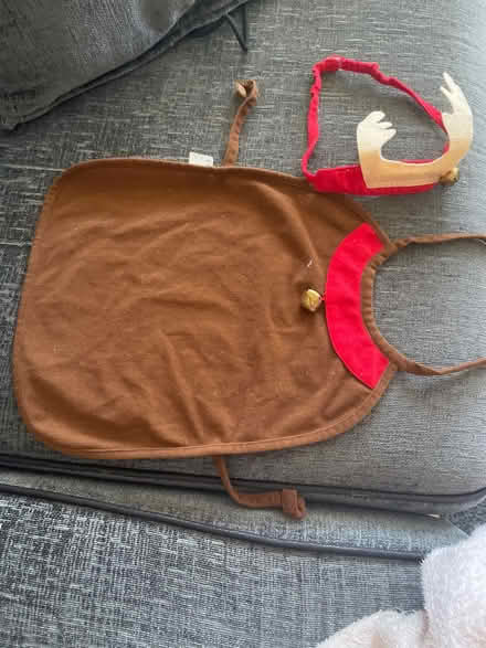 Photo of free Reindeer Dog coat and head band (Welling DA16) #1