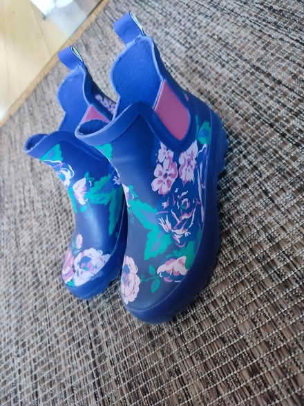 Photo of free Wellies size 3 (CT11) #1
