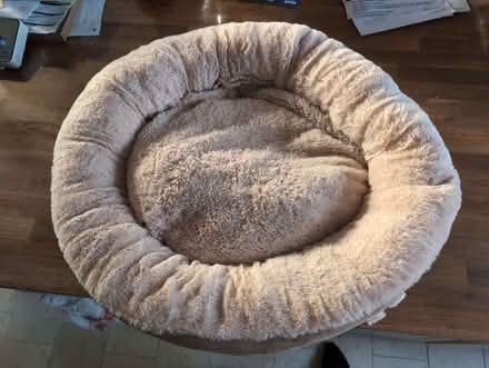 Photo of free Cat bed (Didcot OX11) #1