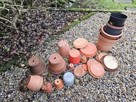 Photo of free Plant pots and saucers (Brinscall PR6) #2