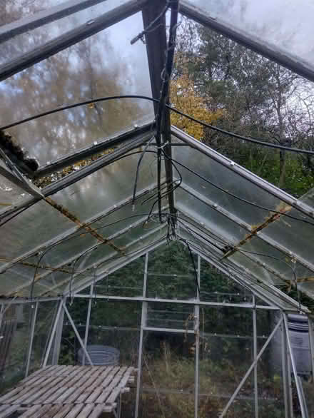 Photo of free Large greenhouse (Great Moor SK7) #2