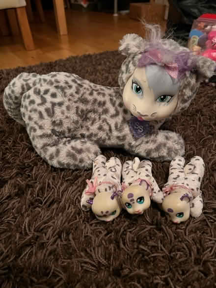 Photo of free Safari Surprise Wild Cat Toy (Hemel, HP3) #1