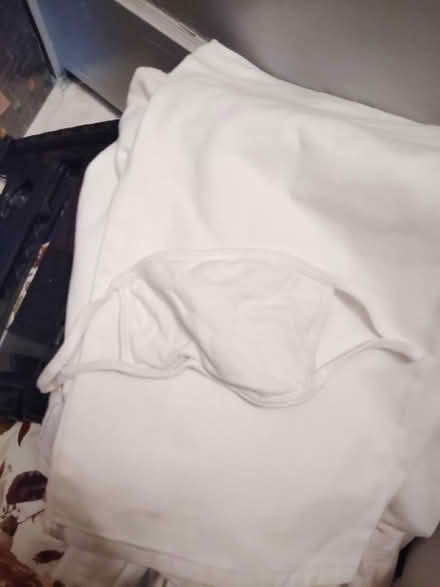 Photo of free Various free stuff, more to add (Snail) #2