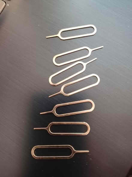 Photo of free Sim card ejector pins (Woodley RG5) #1