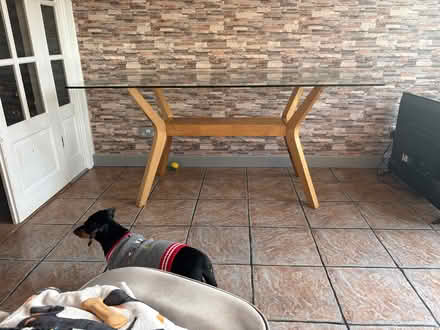 Photo of free Glass wooden table (Perry barr B42) #3