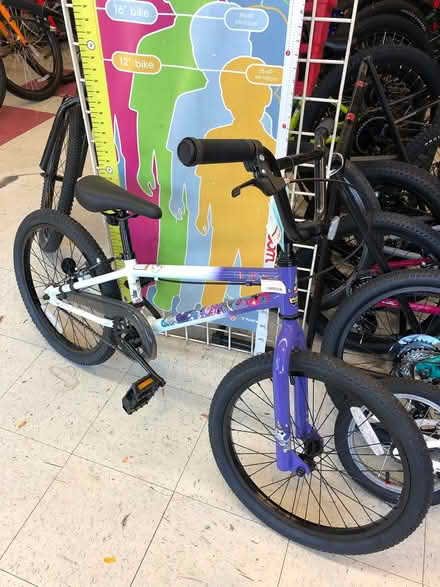 Photo of free Girls bicycle, ages 8-11 yrs (Belmont) #1
