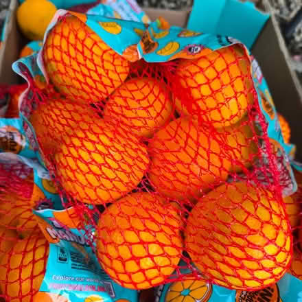 Photo of free Mandarin Oranges (Chiquita Av MtnVw) #1