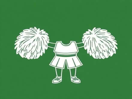 Photo of Cheerleaders Pom Poms (Wayfield ME5) #1