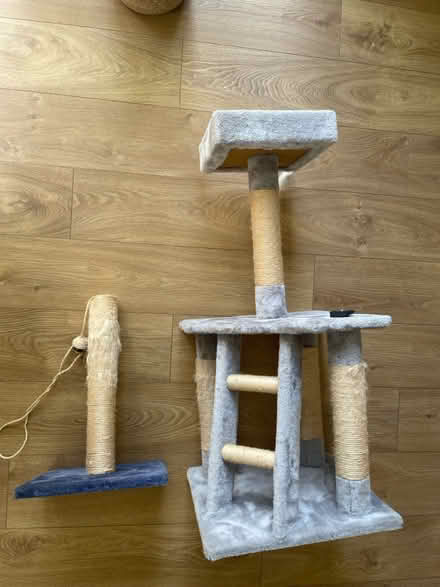 Photo of free Cat tree (Bracknell, RG12) #3