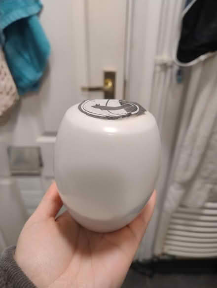 Photo of free Green clothes dye (Botley) #2