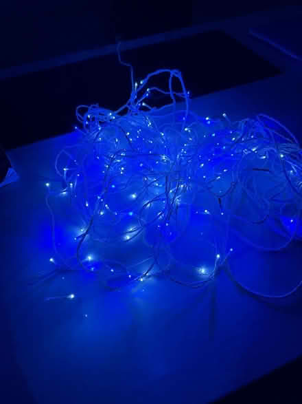 Photo of free Xmas lights (Poole BH14) #4