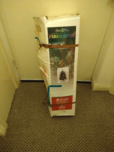 Photo of free Fibre optic Christmas tree (Parson Cross S5) #1