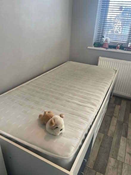 Photo of free Single trundle storage bed frame (SS7) #3