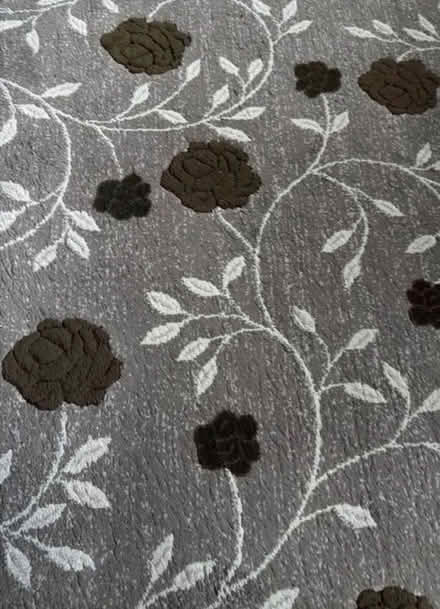 Photo of free Luxury carpet and underlay (Harrow HA3) #1