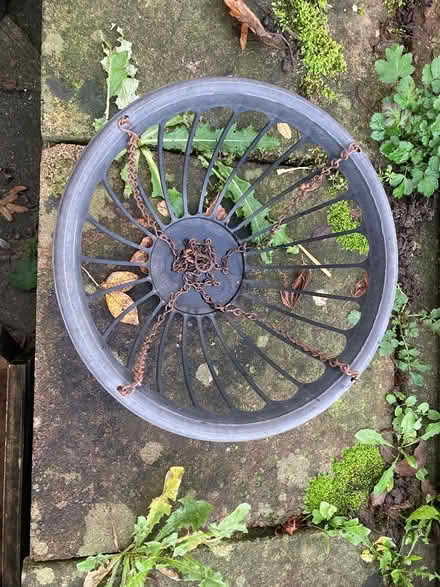 Photo of free Hanging basket (Loughton IG10) #3
