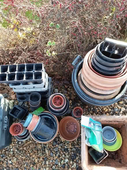 Photo of free Plastic pots (Liss GU33) #1