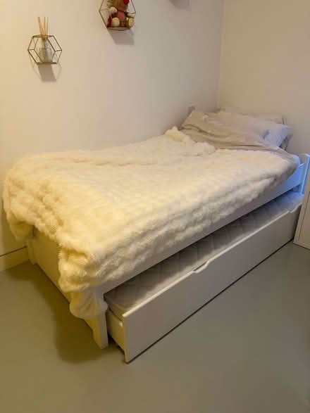 Photo of free Single bed with guest bed (Belsize Park NW3) #3