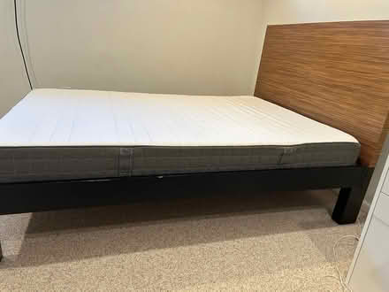 Photo of free west elm bed + ikea mattress (bethesda) #1