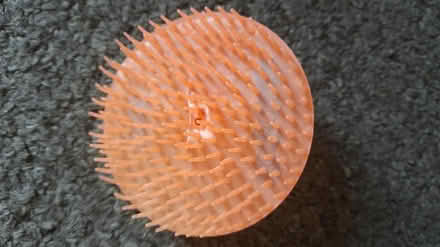 Photo of free Scalp massager (Barnsley old town S75) #3