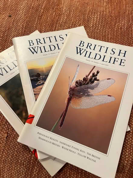 Photo of free British Wildlife Journals (Wirksworth DE4) #1
