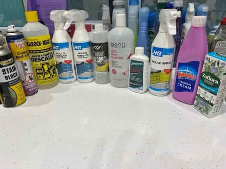 Photo of free Mould/Damp/Freshner cleaners (Herne Hill SE24) #1