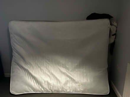 Photo of free King sized mattress (Muirhouse, EH4) #2