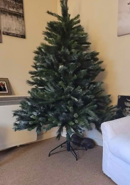 Photo of free 6ft Artificial Christmas Tree (Polegate BN26) #1