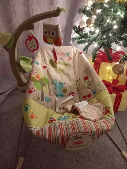 Photo of free Bouncer baby (Wickford SS11) #1