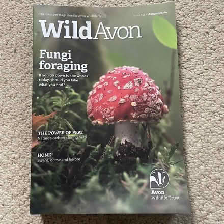 Photo of free Wild Avon Magazine (City of Bristol BS5) #2