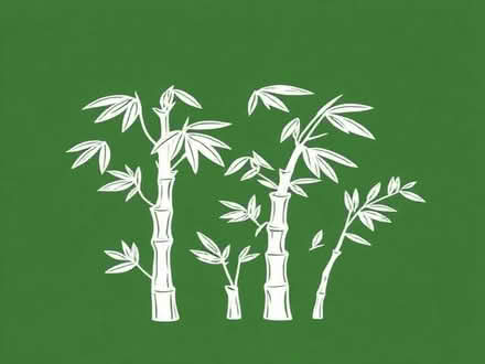 Photo of Bamboo Plants (Keighley BD22) #1