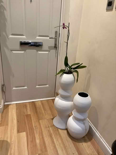 Photo of free Large display vases (Perivale) #2
