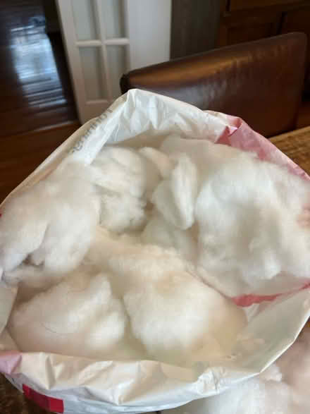 Photo of free Polyfill (fake snow) (Kings park west) #1