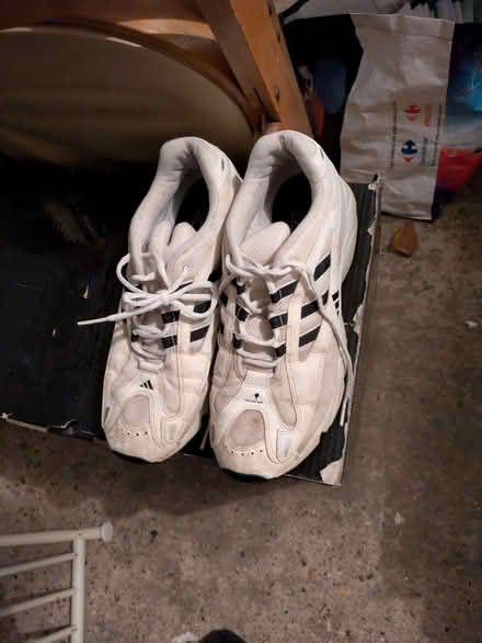 Photo of free Adidas trainers size 10 (Westleton IP17) #3
