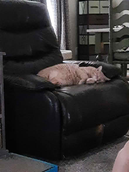 Photo of free Leather power rocking recliner (Howell Twp. Byron Rd/M59) #1