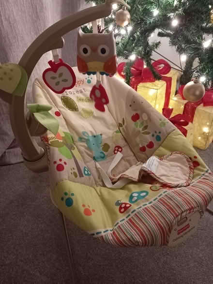 Photo of free Bouncer baby (Wickford SS11) #2