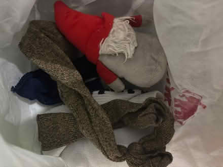 Photo of free Dog toys (North shields NE30) #1