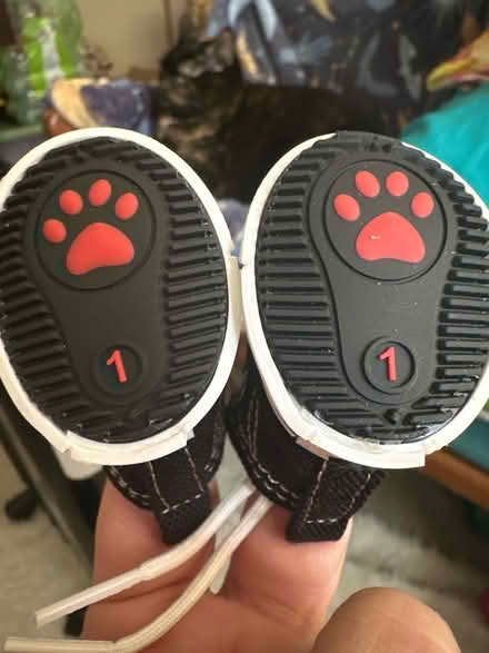 Photo of free Pet sneakers (Taneytown, md) #4