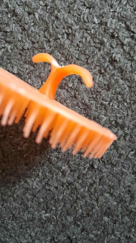 Photo of free Scalp massager (Barnsley old town S75) #1