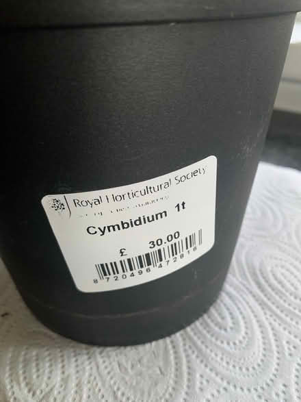 Photo of free Orchid Collection (North Tonbridge TN10) #4