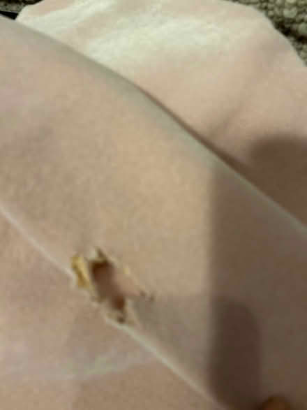 Photo of free Twin double Vellux blanket (L5L 5P5) #3