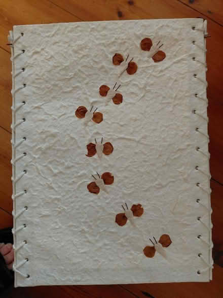 Photo of free Lamp shade (Brantham CO11) #2