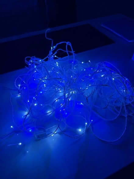 Photo of free Xmas lights (Poole BH14) #3