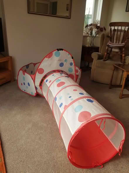 Photo of free childs ball pit and tunnel (Colyton EX24) #1