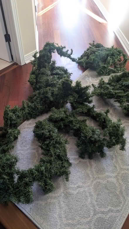 Photo of free Winter or Holiday Garlands (Stittsville) #3