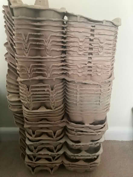 Photo of free 39 Empty Egg Boxes for 6 Eggs (Mappleborough Green B80) #1