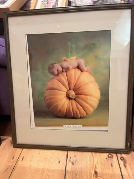 Photo of free Anne Geddes photos in frames (Lavender Hill SW11) #3
