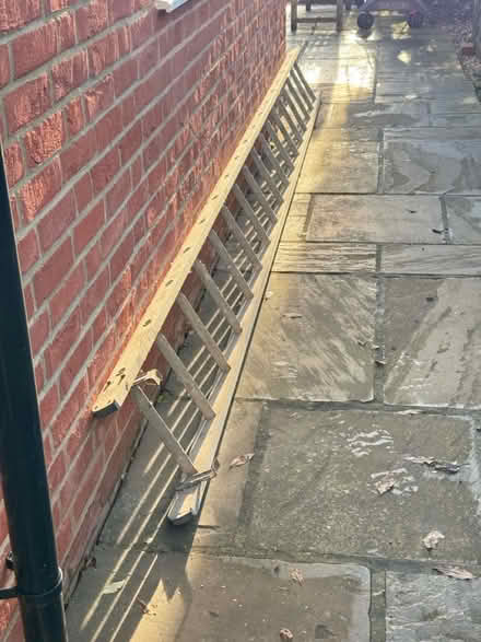 Photo of free 4.5m ladder (Mapledurwell RG25) #1