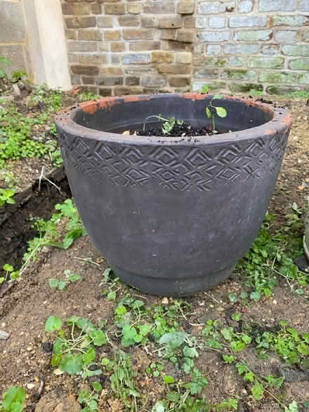 Photo of free Terracotta plant pots (SW2 - Brixton) #2