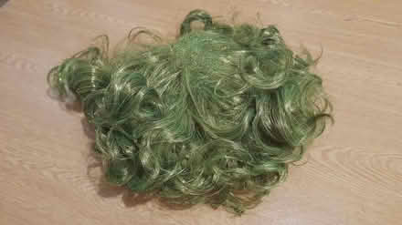 Photo of free Green-ish wig (Barnsley old town S75) #2